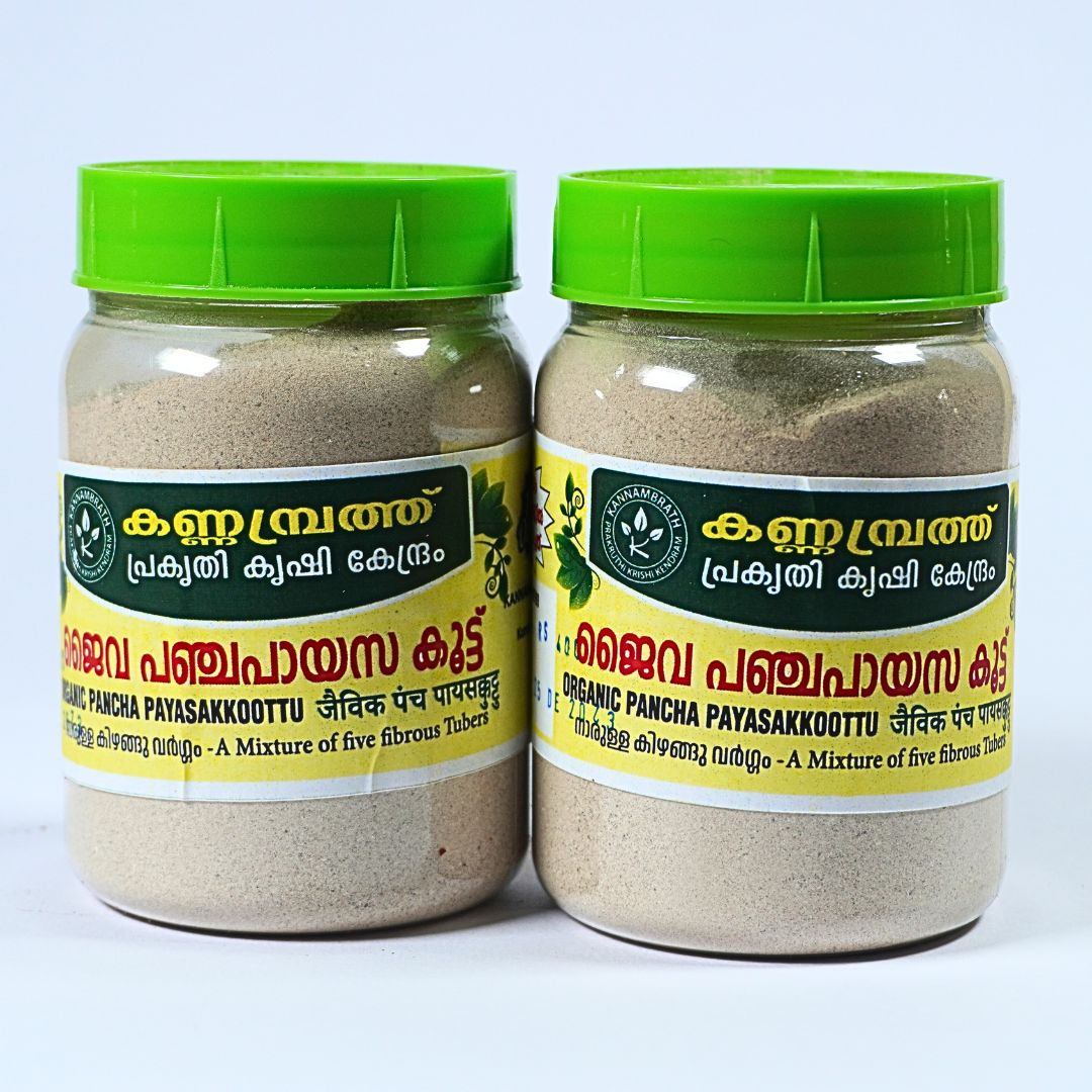 Jaiva Pancha Payasa Koott - ജൈവ പഞ്ച പായസ കൂട്ട്