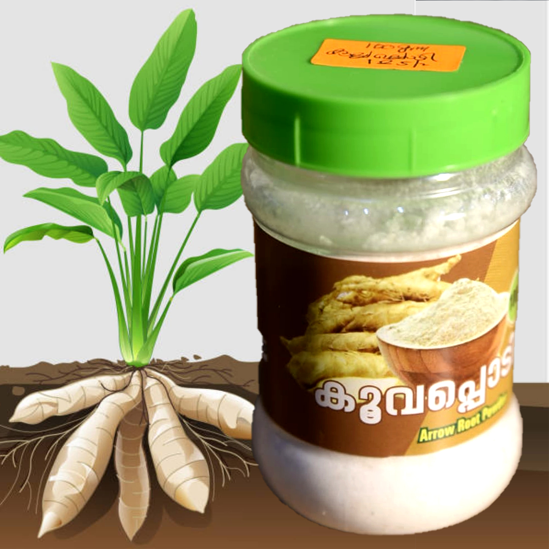 Jaivakalavara Arrowroot Powder / കൂവപ്പൊടി 100 gm
